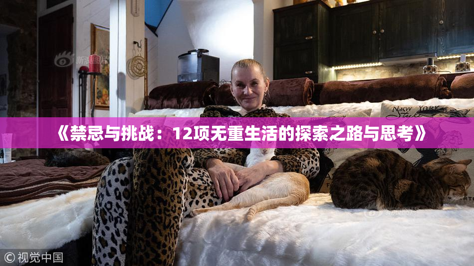 《禁忌与挑战：12项无重生活的探索之路与思考》