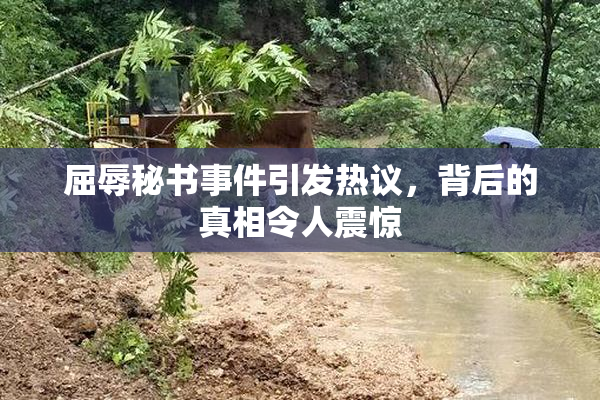 屈辱秘书事件引发热议，背后的真相令人震惊