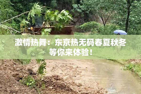 激情热舞：东京热无码春夏秋冬等你来体验！