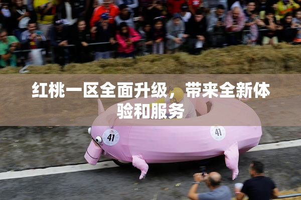 红桃一区全面升级，带来全新体验和服务
