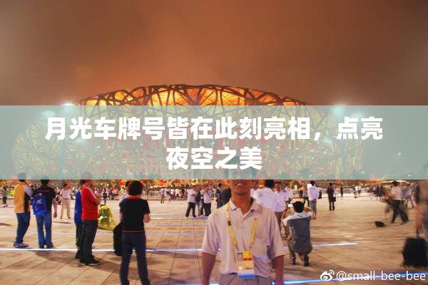 月光车牌号皆在此刻亮相，点亮夜空之美