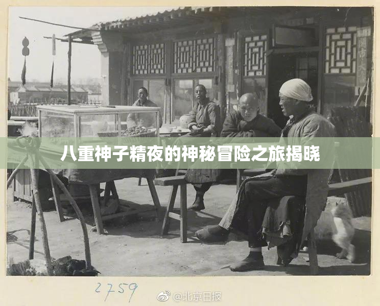 八重神子精夜的神秘冒险之旅揭晓