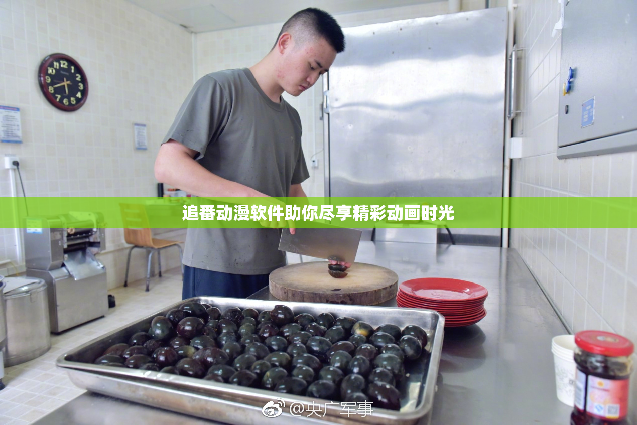 追番动漫软件助你尽享精彩动画时光