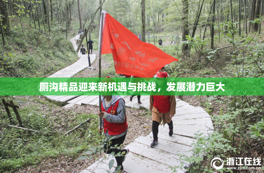 厕沟精品迎来新机遇与挑战，发展潜力巨大