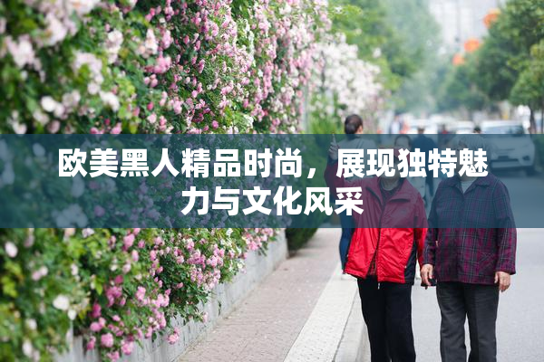 欧美黑人精品时尚，展现独特魅力与文化风采