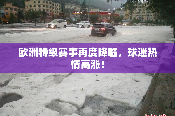 欧洲特级赛事再度降临，球迷热情高涨！