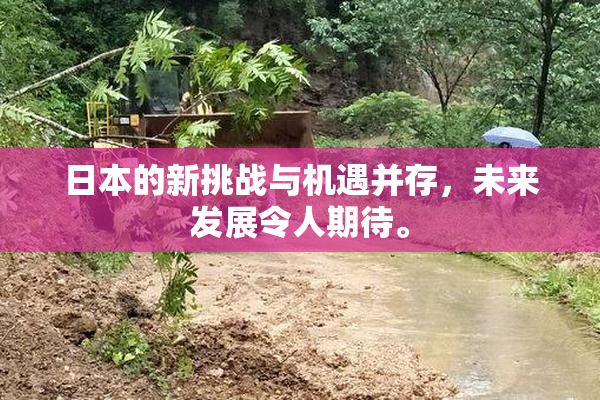 日本的新挑战与机遇并存，未来发展令人期待。