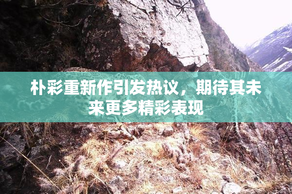 朴彩重新作引发热议，期待其未来更多精彩表现