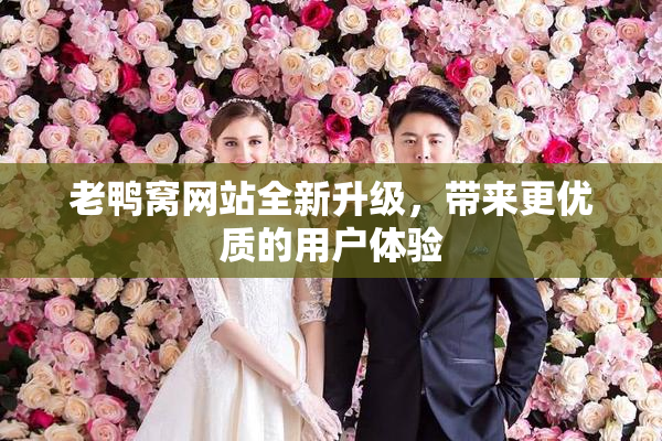 老鸭窝网站全新升级，带来更优质的用户体验