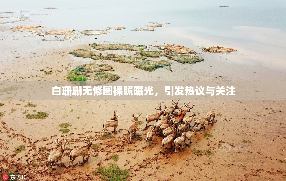 白珊珊无修图裸照曝光，引发热议与关注