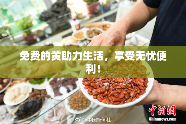 免费的黄助力生活，享受无忧便利！