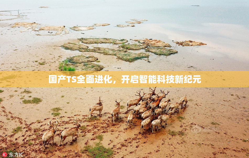 国产TS全面进化，开启智能科技新纪元