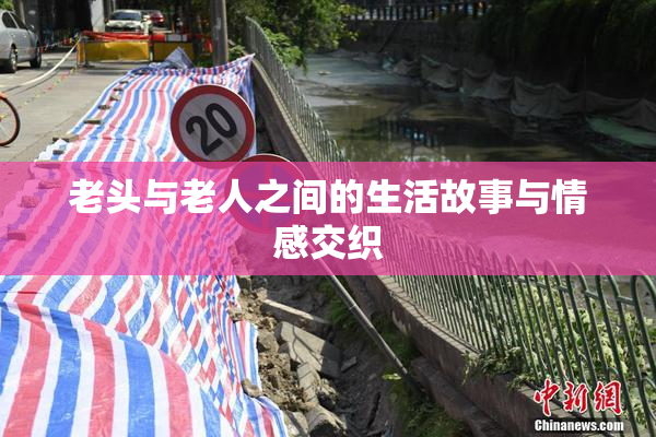 老头与老人之间的生活故事与情感交织