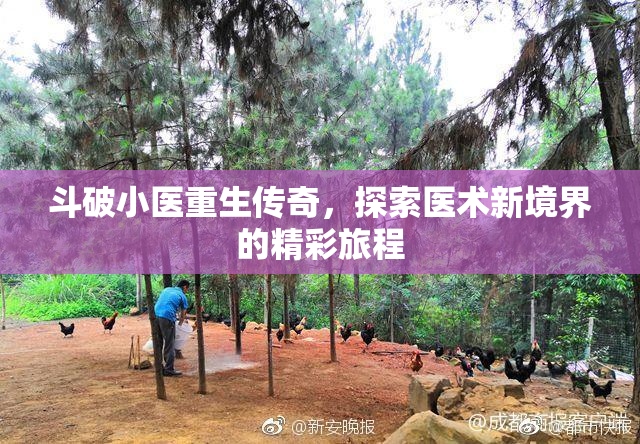斗破小医重生传奇，探索医术新境界的精彩旅程