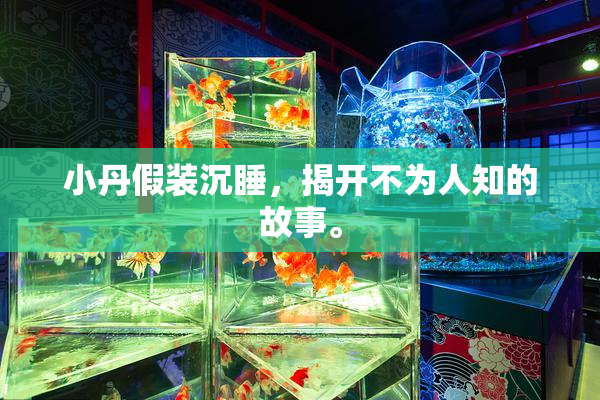 小丹假装沉睡，揭开不为人知的故事。
