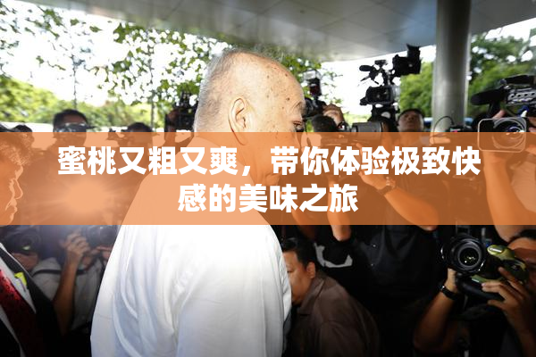 蜜桃又粗又爽，带你体验极致快感的美味之旅