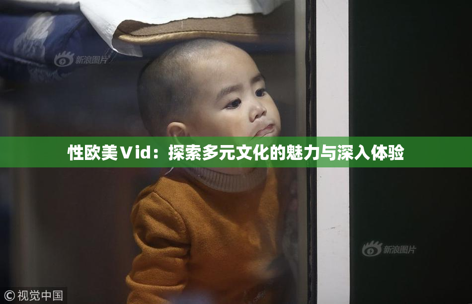 性欧美Ⅴid：探索多元文化的魅力与深入体验