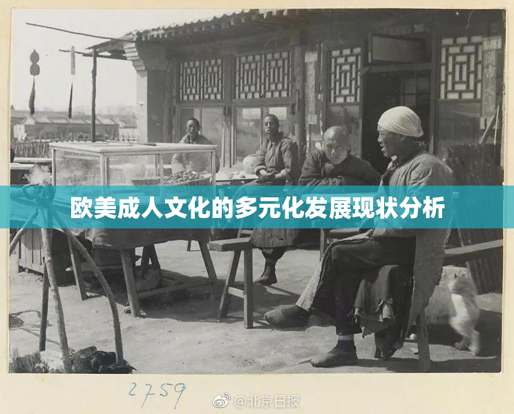 欧美成人文化的多元化发展现状分析