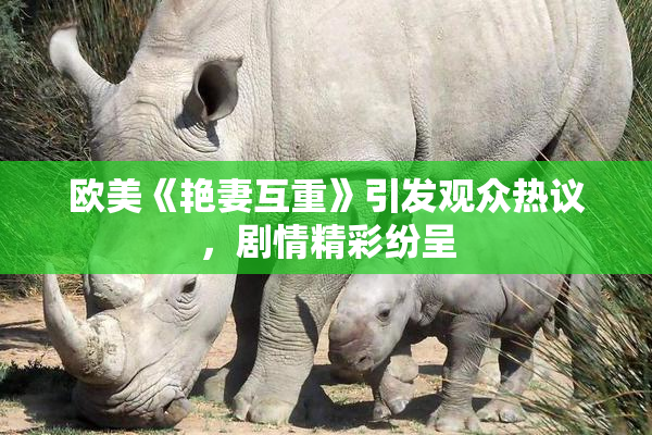 欧美《艳妻互重》引发观众热议，剧情精彩纷呈