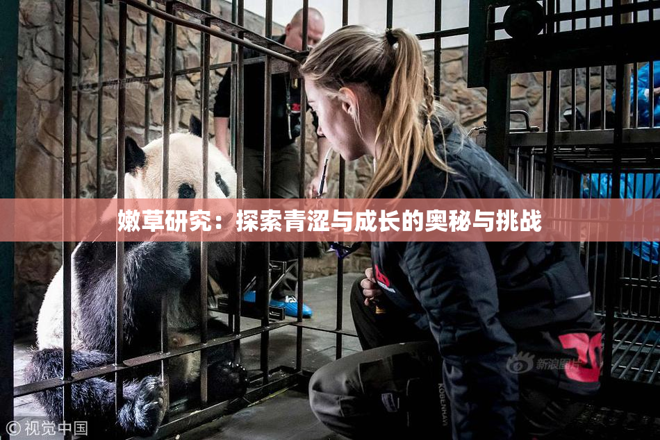 嫩草研究：探索青涩与成长的奥秘与挑战