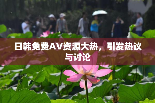 日韩免费AV资源大热，引发热议与讨论