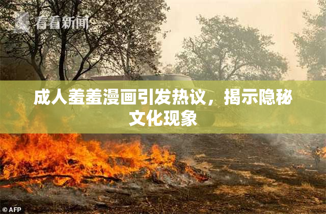 成人羞羞漫画引发热议，揭示隐秘文化现象