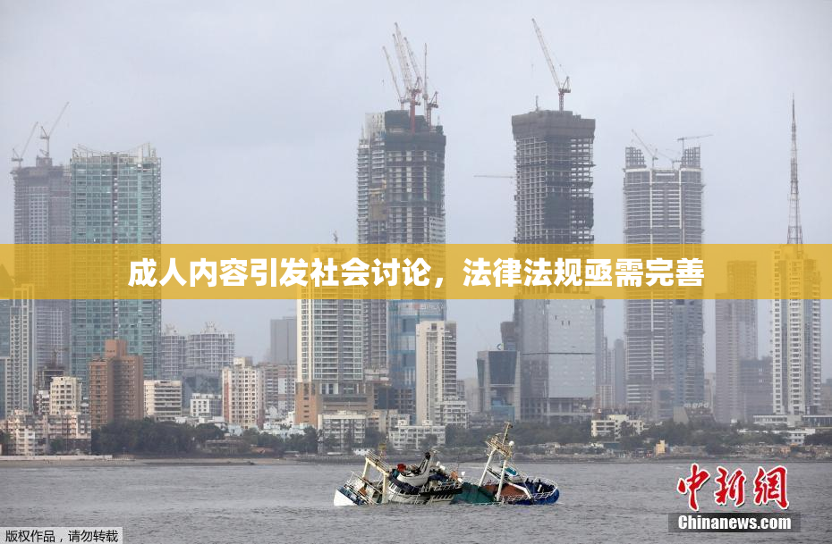 成人内容引发社会讨论，法律法规亟需完善