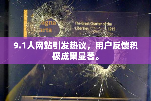 9.1人网站引发热议，用户反馈积极成果显著。