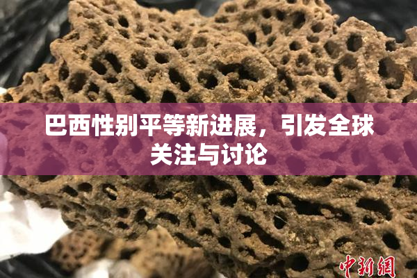 巴西性别平等新进展，引发全球关注与讨论
