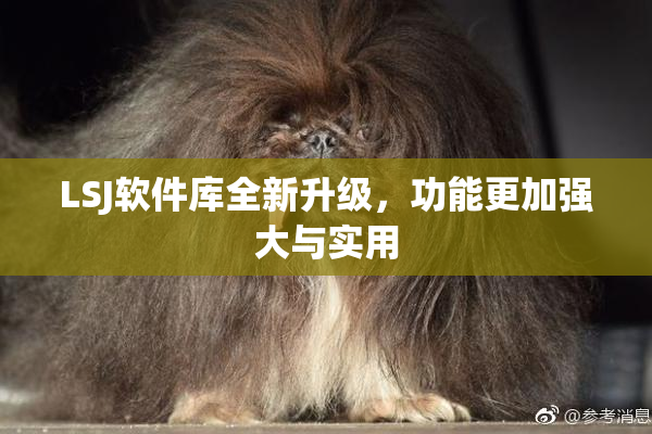 LSJ软件库全新升级，功能更加强大与实用