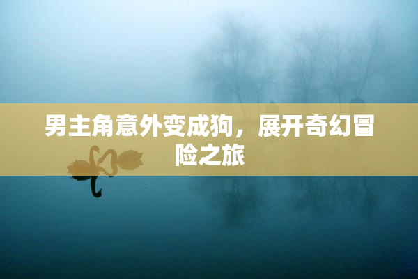 男主角意外变成狗，展开奇幻冒险之旅