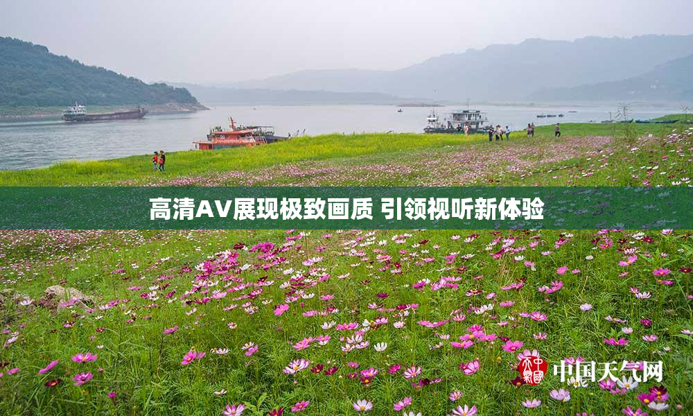 高清AV展现极致画质 引领视听新体验