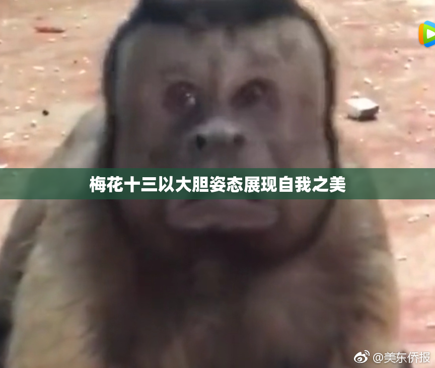 梅花十三以大胆姿态展现自我之美