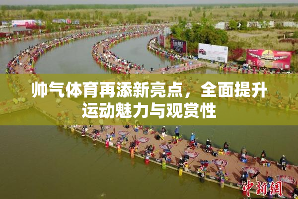 帅气体育再添新亮点，全面提升运动魅力与观赏性