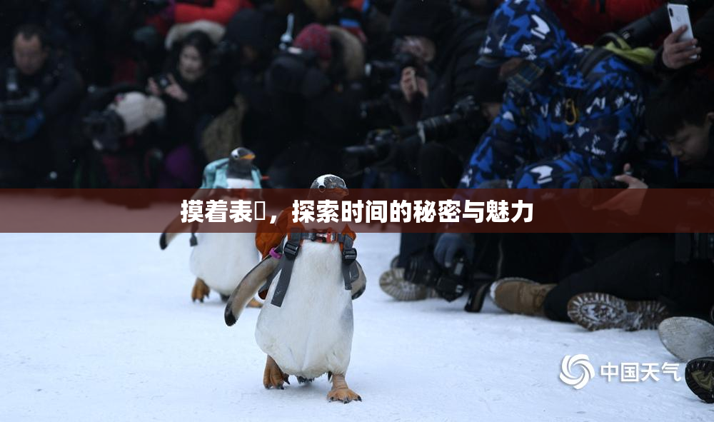 摸着表妺，探索时间的秘密与魅力