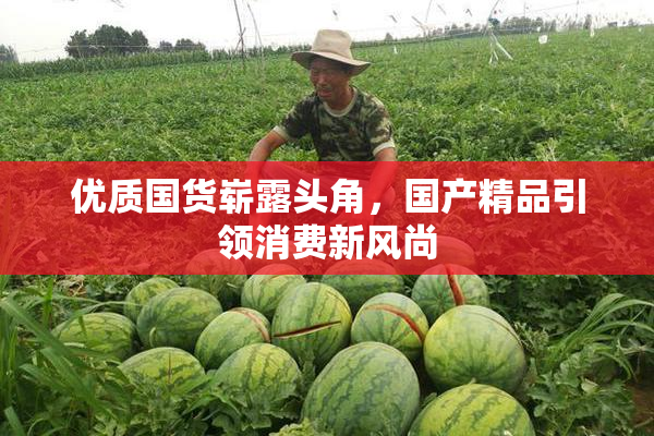 优质国货崭露头角，国产精品引领消费新风尚