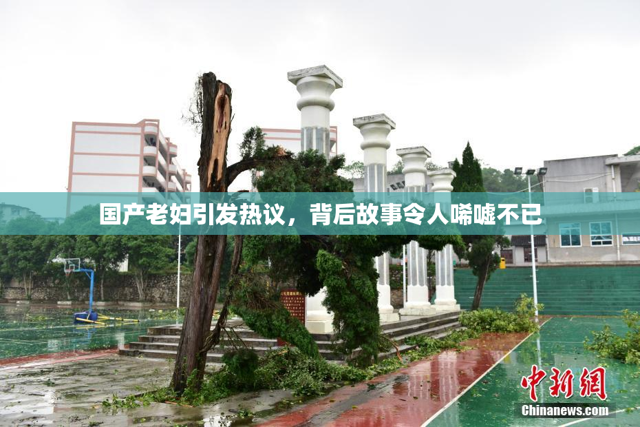 国产老妇引发热议，背后故事令人唏嘘不已