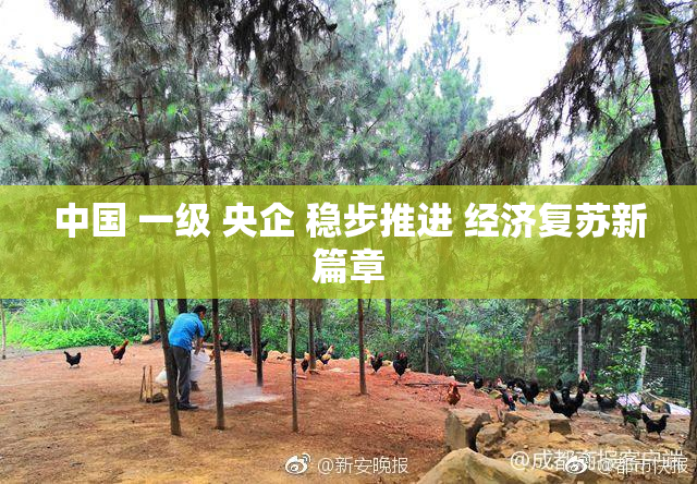 中国 一级 央企 稳步推进 经济复苏新篇章