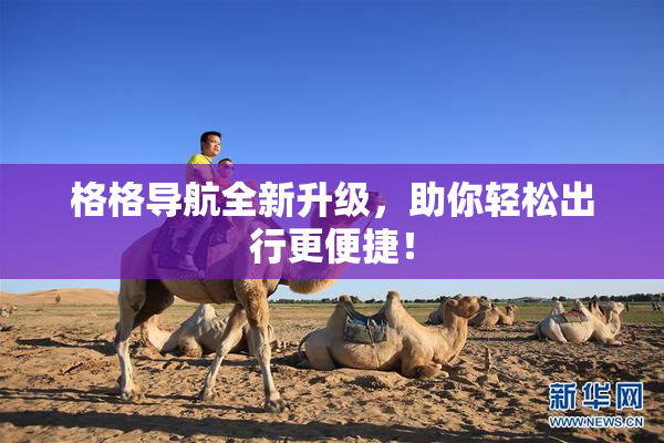 格格导航全新升级，助你轻松出行更便捷！