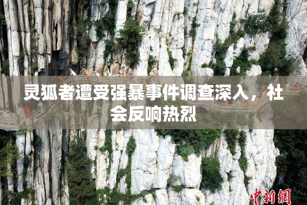 灵狐者遭受强暴事件调查深入，社会反响热烈