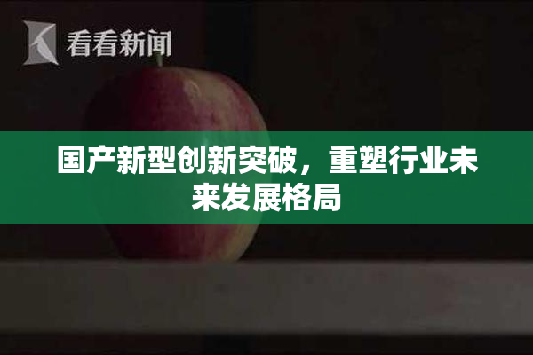 国产新型创新突破，重塑行业未来发展格局