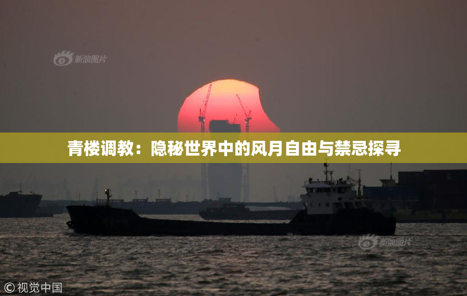 青楼调教：隐秘世界中的风月自由与禁忌探寻