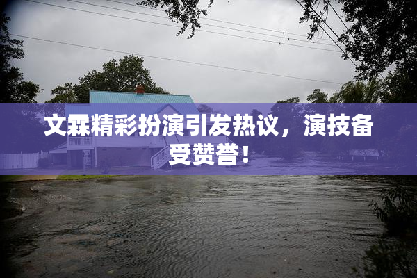 文霖精彩扮演引发热议，演技备受赞誉！