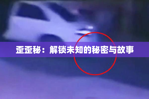 歪歪秘：解锁未知的秘密与故事
