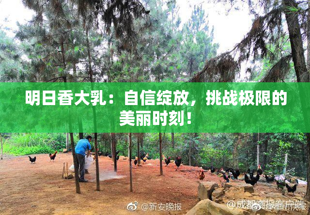 明日香大乳：自信绽放，挑战极限的美丽时刻！