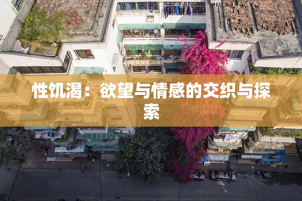 性饥渴：欲望与情感的交织与探索