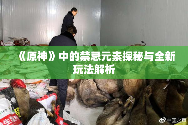 《原神》中的禁忌元素探秘与全新玩法解析