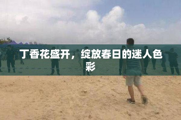 丁香花盛开，绽放春日的迷人色彩