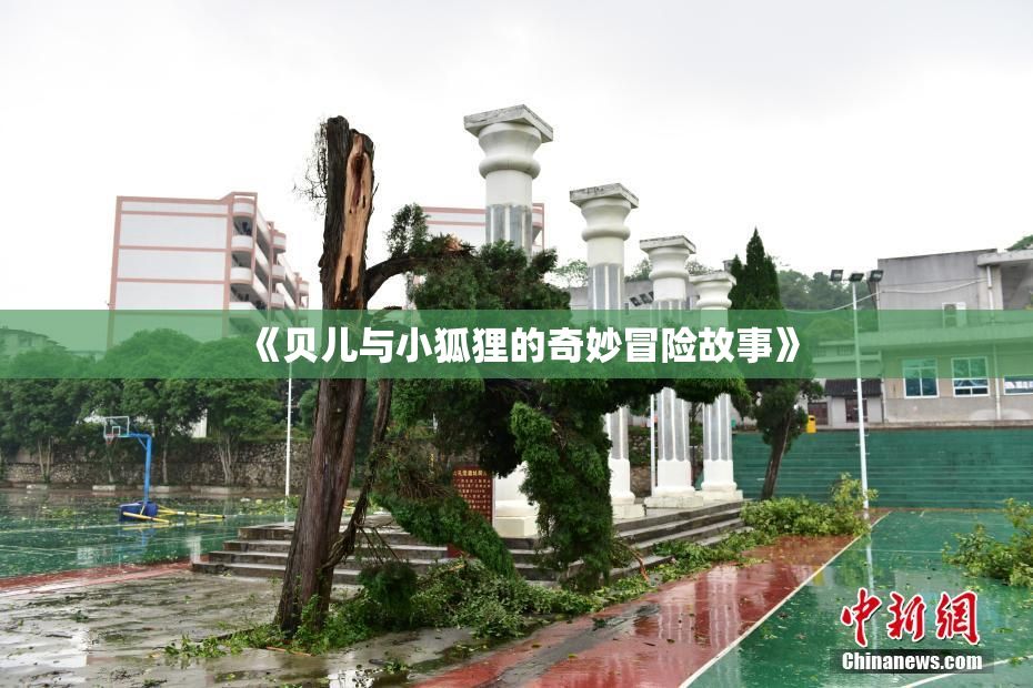 《贝儿与小狐狸的奇妙冒险故事》