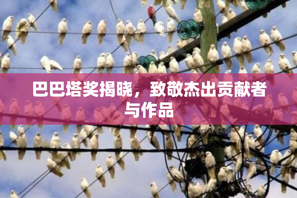巴巴塔奖揭晓，致敬杰出贡献者与作品